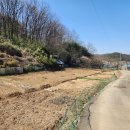 역삼-1650 이미지