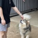 우성민박 이미지