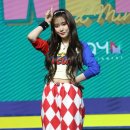 포토조아 이미지
