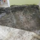 그린아파트 105동 이미지