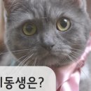 우리동물병원(산업) 이미지