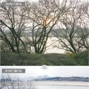 사계절 티스토리