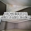 서창센트럴푸르지오아파트 | &#34;손상벽지 원상복구&#34; 서창센트럴푸르지오 아파트, 곰팡이 손상벽지 원상복구사례