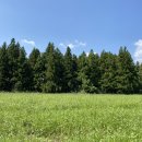 봉성목장 이미지