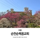 순복음대구교회 | 순천 볼거리 매화 명소 3월 꽃구경 가볼 만한 곳 전남 순천순복음교회