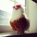 소리코티지 이미지