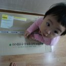 세희식품 이미지