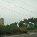 레인보우캐슬리조트 이미지