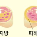 완정역 이미지