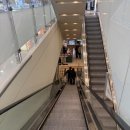 (주)제주왕 | ㅣ 제주 한라왕족발 &amp;직화구이불초밥 ㅣ 진주...백화점 지하1층 팝업 방문후기 + 육식공룡이들 요고...