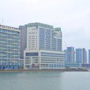 워시랜드 음성 삼성점 | 시흥 거북섬 웨이브엠호텔 이스트 오션뷰 호캉스 조식 후기