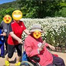 화성환경 | 편안한 요양 환경을 찾다가 선택한 화성요양원 후기