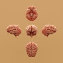 미소공인중개사무소 이미지