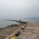 와따 좌대낚시터 이미지