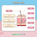 육성수한의원 이미지