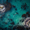 바다의숲 이미지