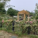 한밭수목원 이미지