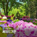 춘천 제이드가든 데이트코스 추천 예약 다람쥐빵 수국개화