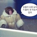 사람애