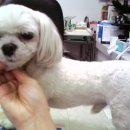 필립동물병원 이미지