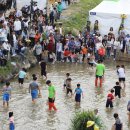담양대나무축제 이미지