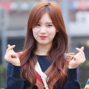 엘리 이미지