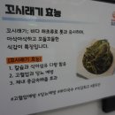도리김밥 네이버블로그