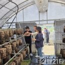 봉화군 버섯학교 교육생 관외 선진농장 현장견학 다녀와