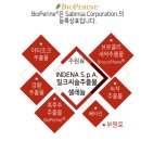 새싹 온누리약국 | 엔큐엔에이 가네드림 가격 섭취 및 구매방법