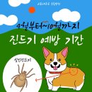 김포 동물병원 치료해주오 이미지