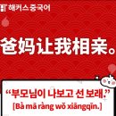 선보래 이미지