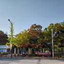 동천동 구수교 | 동암로 무장애나눔길/북구청기자단