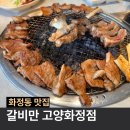 화정3층약국 | 덕양구 화정 갈비 맛집 추천 놀이방 있는 갈비만 고양화정점