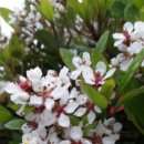 (주)나무 이미지