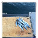 만선을 기원하며 2 이미지