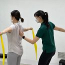 짐볼밴드 이미지