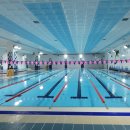 관저다목적체육관 수영장 이미지