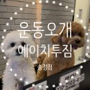 <광산구 도산동 소촌동 송정역 헬스장> 250평 24시 헬스장 직접 다녀온 후기, 26년5월 최신판