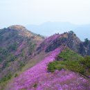 제126차 여수 영취산(3월25일) 넷째주 토요일 정기산행 안내 이미지