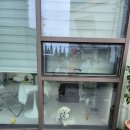 멍뭉한입 이미지