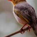 한국폴리텍 II 대학 인천캠퍼스 이미지