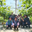일손인력 시대일보
