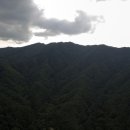 남경농장 이미지