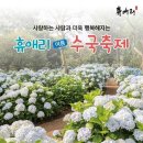 신례동로 이미지