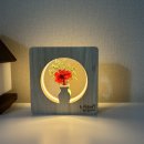 달하나빛 | 시들지 않는 어버이날카네이션 부모님선물, 고담빛 달항아리 카네이션 무드등 후기