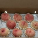 무지개농원 | 무지개농원 그레이트 복숭아 🍑 농라 복켓팅 • 내돈내산 후기