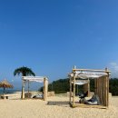 나인비치37 이미지