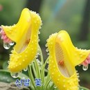 에이스환경 이미지