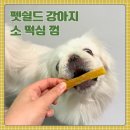 오래먹는 강아지 간식 &#39;펫쉴드 소 떡심 껌&#39; 내돈내산 후기