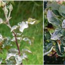 ㈜청솔나무병원 이미지